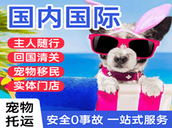 乌审旗嘎鲁图航空邮寄国际宠物托运 【国